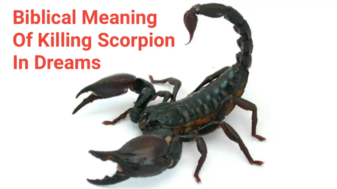 Biblical Meaning Of Killing Scorpion In Dreams DreamPeas