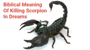 Biblical Meaning Of Killing Scorpion In Dreams