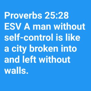 Proverbs 25:28