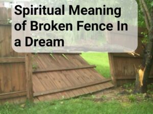 Spiritual Meaning of Broken Fence In a Dream