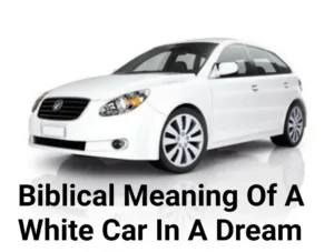 Biblical Meaning Of A White Car In A Dream