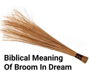 Biblical Meaning Of Broom In Dream