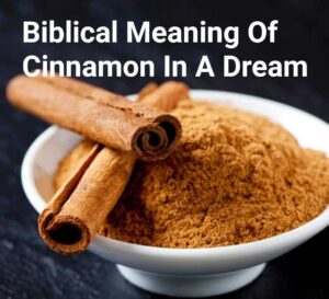 Biblical Meaning Of Cinnamon In A Dream