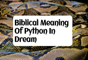 Biblical Meaning Of Python In Dream