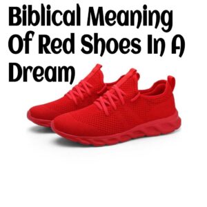 Biblical Meaning Of Red Shoes In A Dream