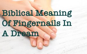 Biblical Meaning Of Fingernails In A Dream