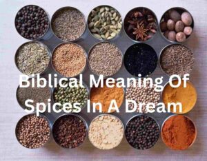 Biblical Meaning Of Spices In A Dream