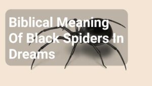 Biblical Meaning Of Black Spiders In Dreams