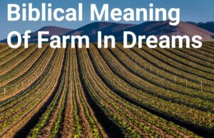 Biblical Meaning Of Farm In Dreams