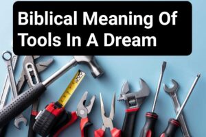 Biblical Meaning Of Tools In A Dream