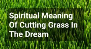 Spiritual Meaning Of Cutting Grass In The Dream