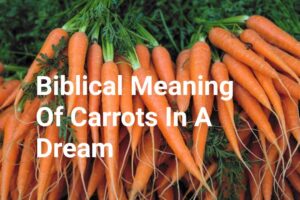 Biblical Meaning Of Carrots In A Dream