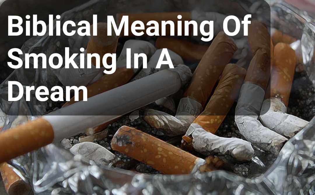 dream meaning of smoking a cigarette Biblical Meaning Of Smoking In A Dream (Weed, Cigar, Cigarette)