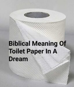 Biblical Meaning Of Toilet Paper In A Dream