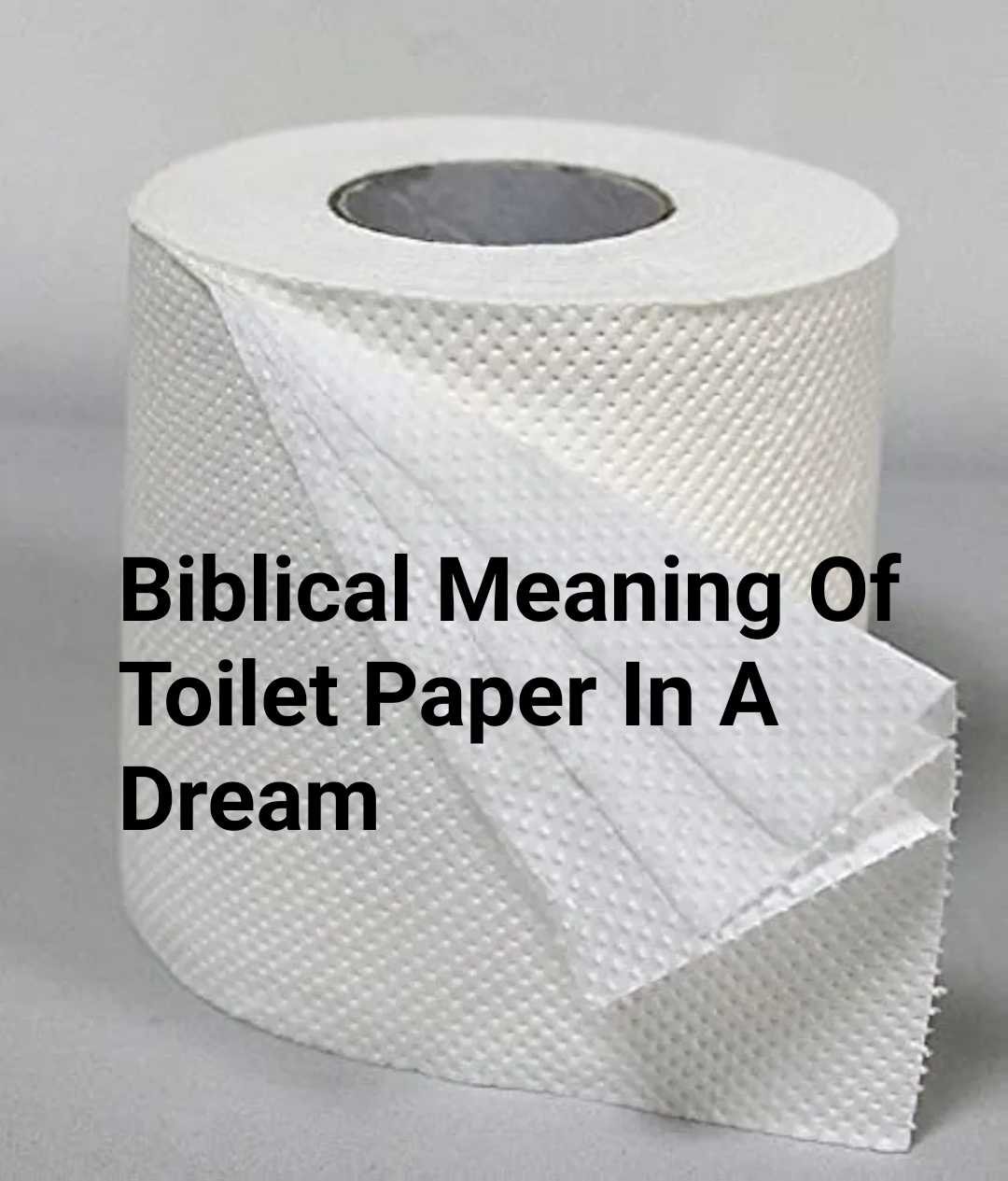 Biblical Meaning Of Toilet Paper In A Dream DreamPeas