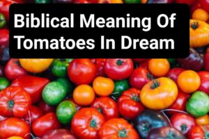 Biblical Meaning Of Tomatoes In Dream