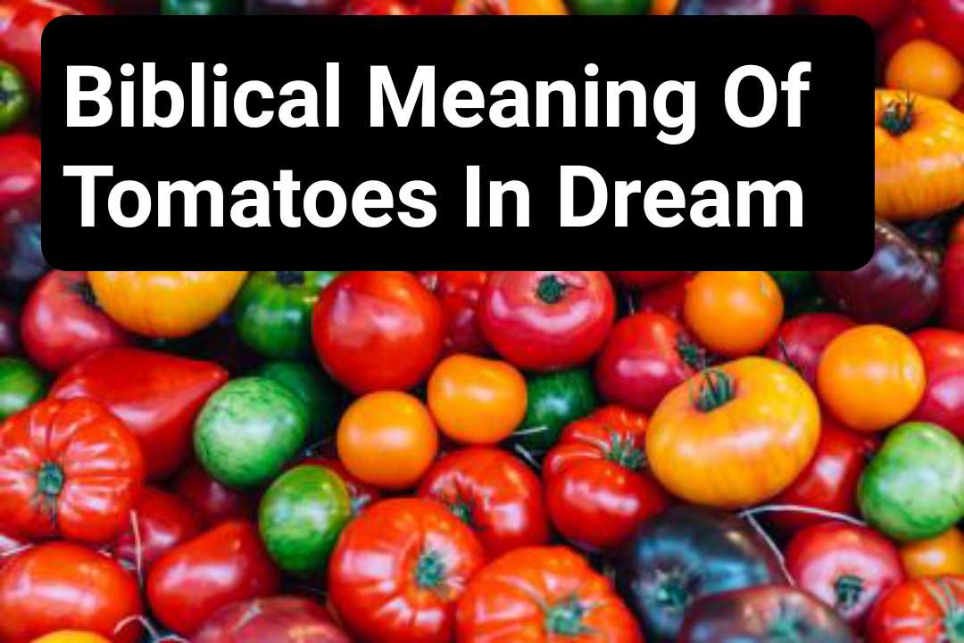 Biblical Meaning Of Tomatoes In Dream DreamPeas