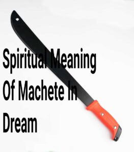 Spiritual Meaning Of Machete In Dream