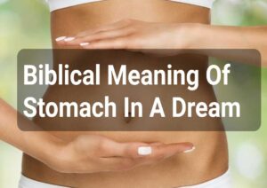 Biblical Meaning Of Stomach In A Dream